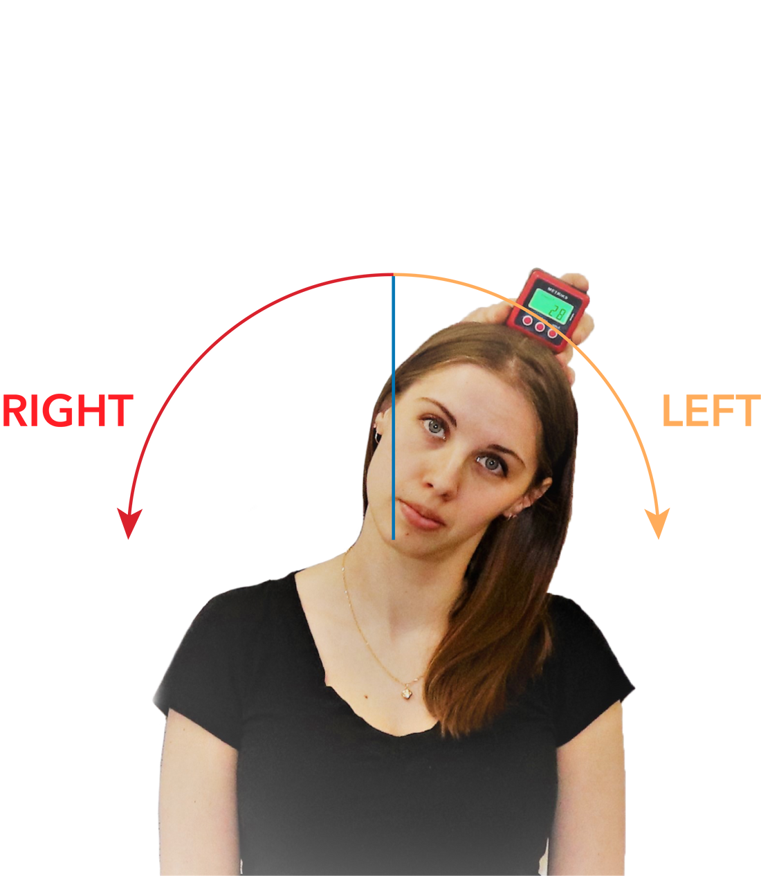 Range of Motion lecture