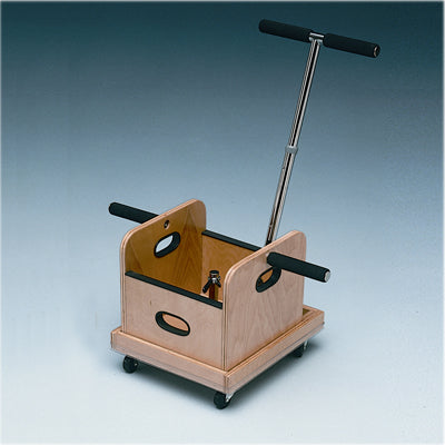 Baseline® FCE Work Device – Mobile Weighted Cart with T-Handle & Accessory Box